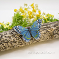 Butterfly outdoor decoration